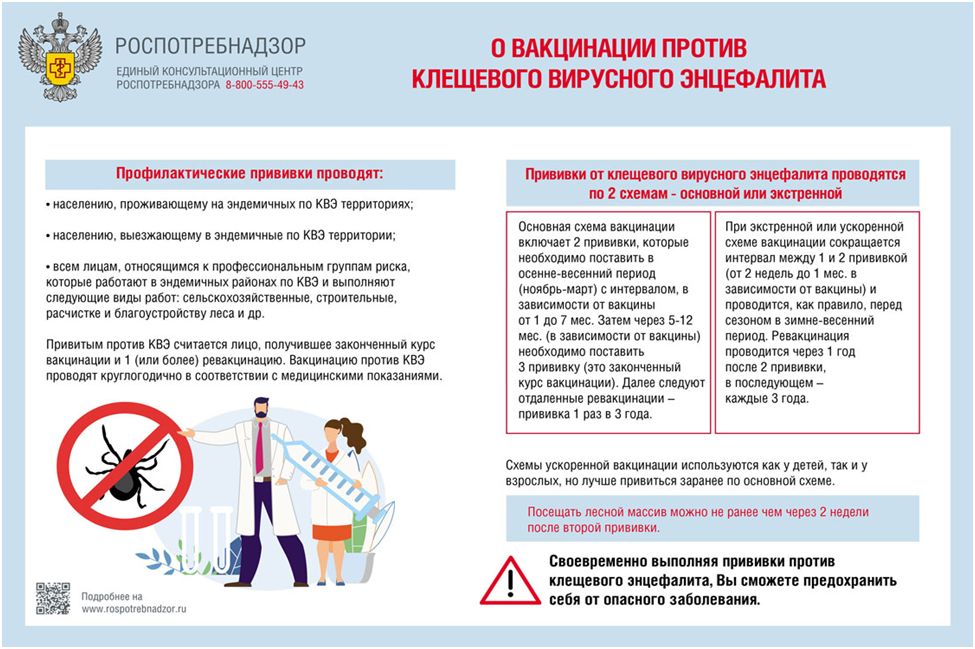 Осторожно! Клещи.